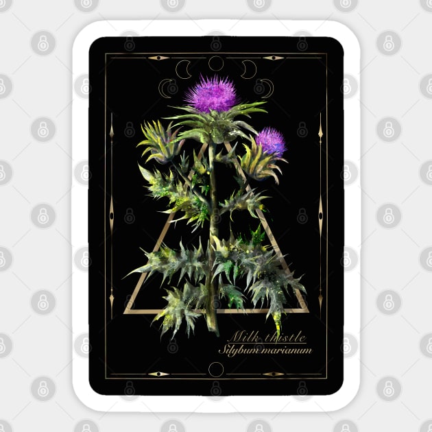 Thistle witches herb. Sticker by Sitenkova